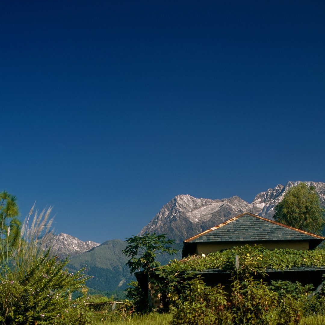 Dharamshala to Palampur