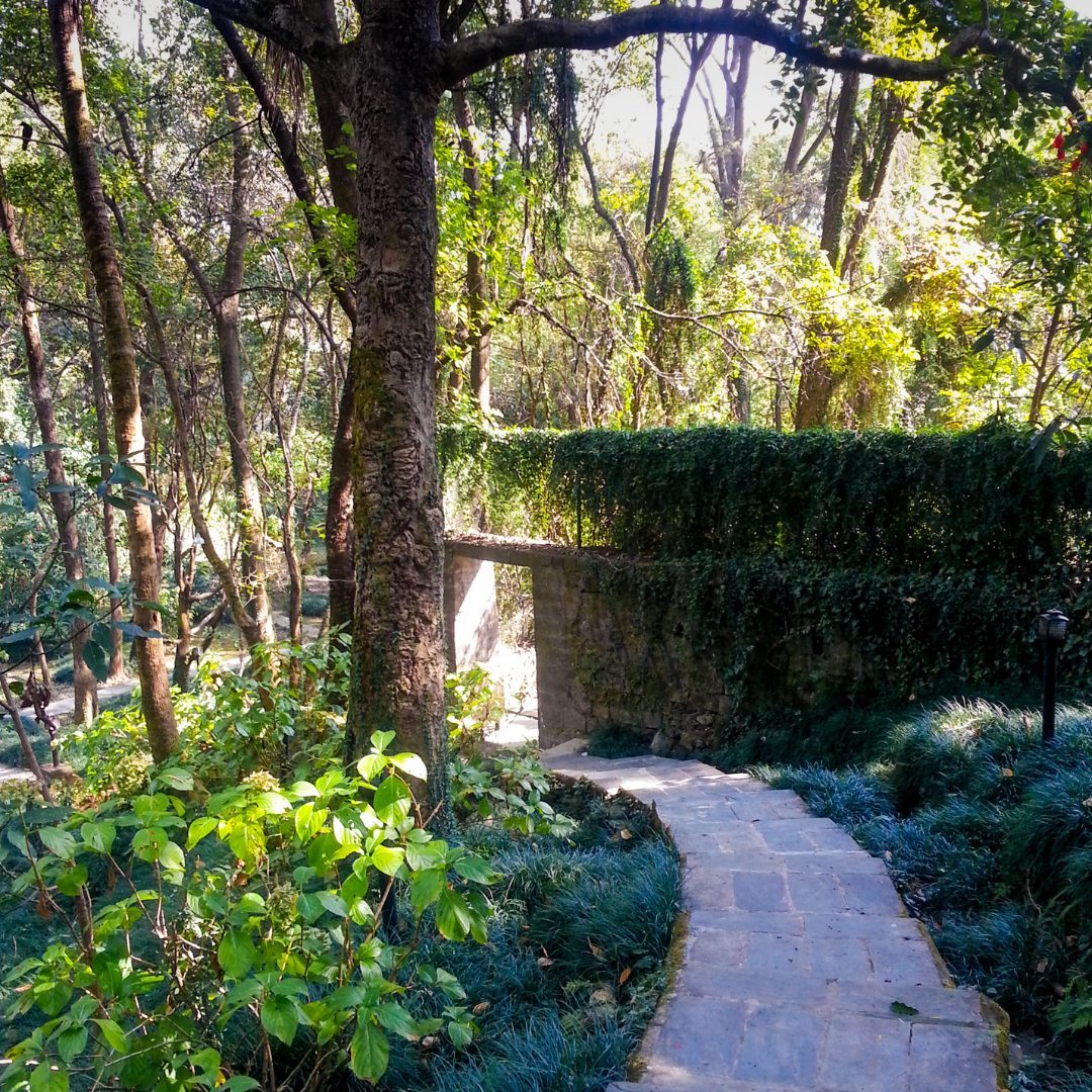 Pathankot to Palampur Route