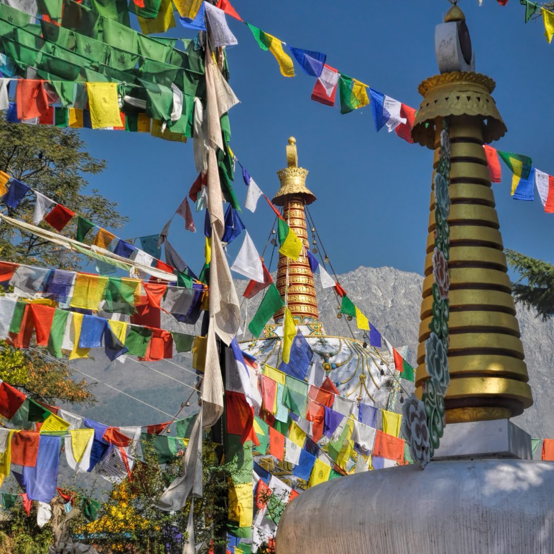 Satya Travels Pathankot To Dharamshala Taxi Service